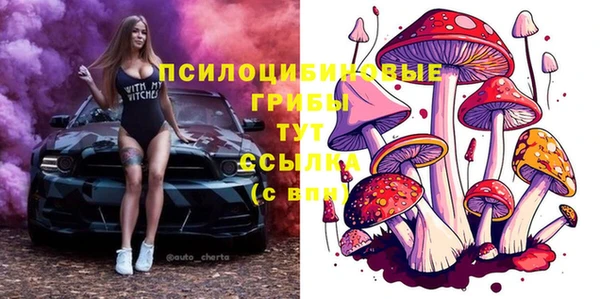 первитин Балахна