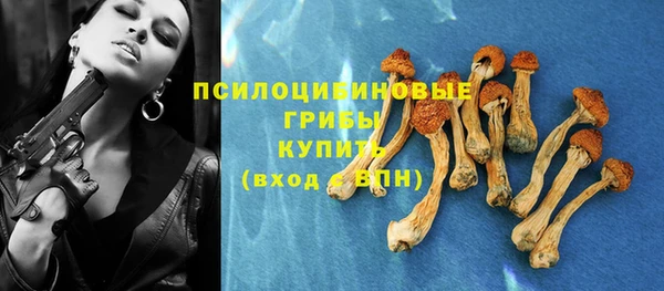 сатива Балабаново